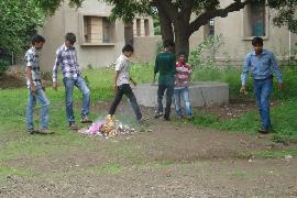 College Safai 12-8-2014 